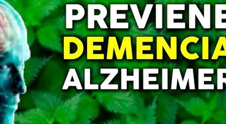 Avance histórico: Desarrollan terapia para frenar el Alzheimer