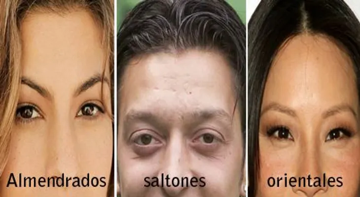 El significado de tus ojos, según su forma