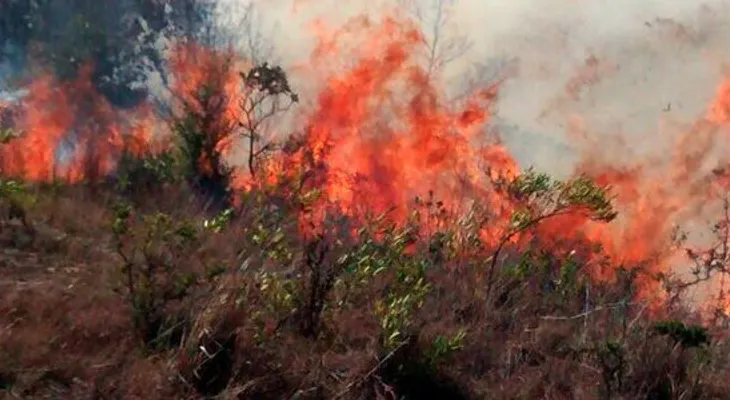 Policía reporta tres incendios en diferentes puntos del país; uno lo provocó niño de 12 años