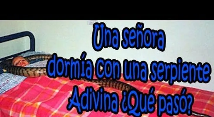 Esta mujer dormía con su serpiente y adivina lo que pasó........ (VIDEO)