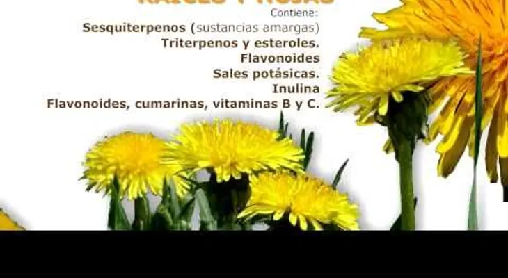 100 veces más eficaz que la quimioterapia (VIDEO)