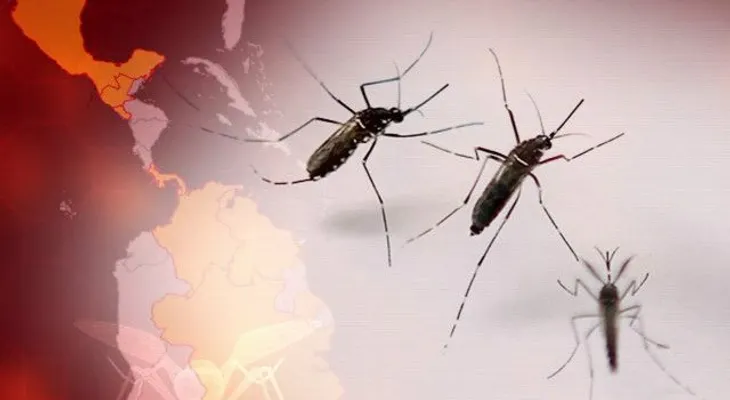Gran mayoría de los casos de Zika detectados en New York viajaron desde RD