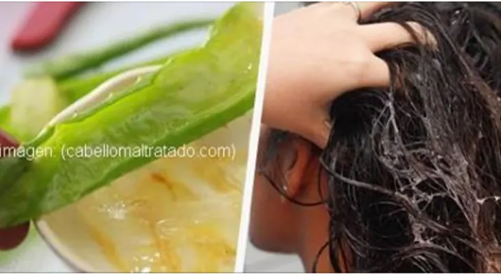 Un cabello largo y hermoso con sábila