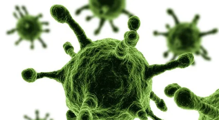 Al menos 320.000 virus desconocidos amenazan a la humanidad, establecieron los científicos