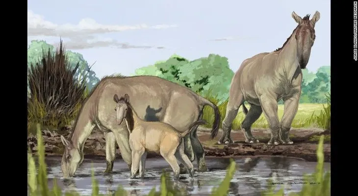 Así resolvieron un antiguo misterio animal que ni Darwin pudo descifrar