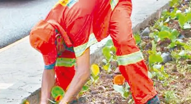 El ADN sembró este año 25,000 plantas