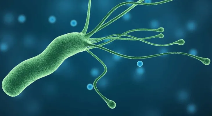 Lo que nadie que había dicho para eliminar el Helicobacter Pylori 