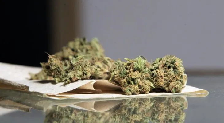  Crean el reglamento para el cannabis medicinal en Puerto Rico 