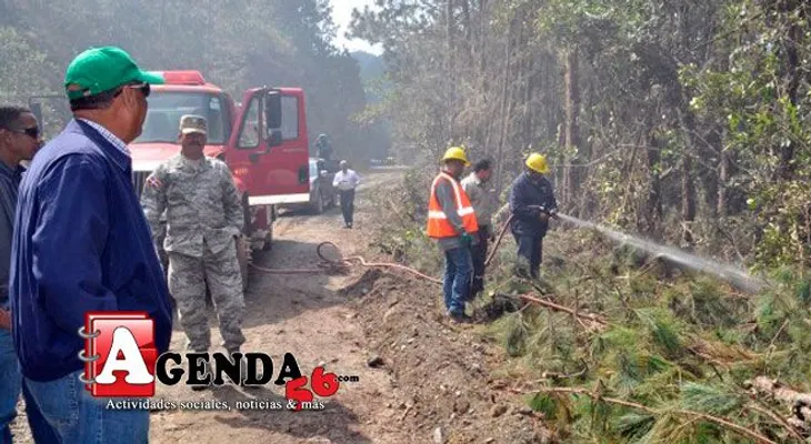 Fuego en Constanza baja en intensidad, según Medio Ambiente