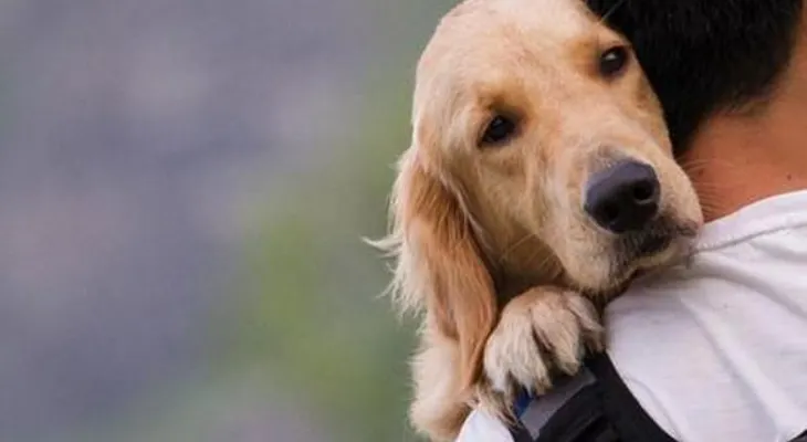 Un año de un humano no equivale a siete años de un perro, demostrado por la ciencia