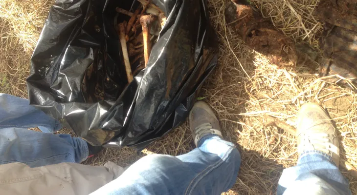 Hallan osamenta humana sin el cráneo en Cabrera