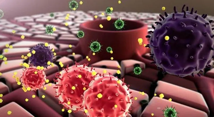 Los métodos naturales para la desintoxicación de su cuerpo 