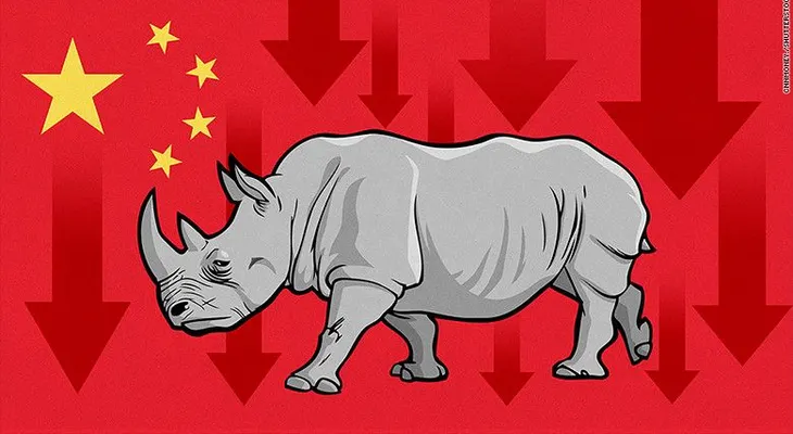 ¿Por qué un rinoceronte gris causó la caída de las acciones en China?