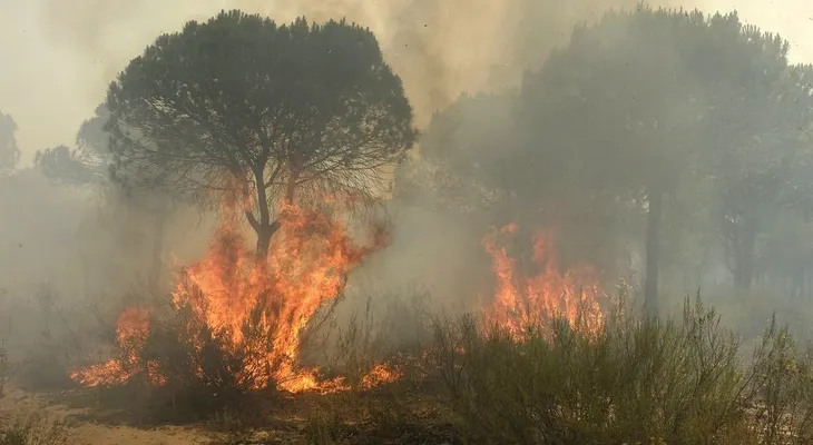Al menos 2.000 evacuados por un fuerte incendio en un parque al sur de España