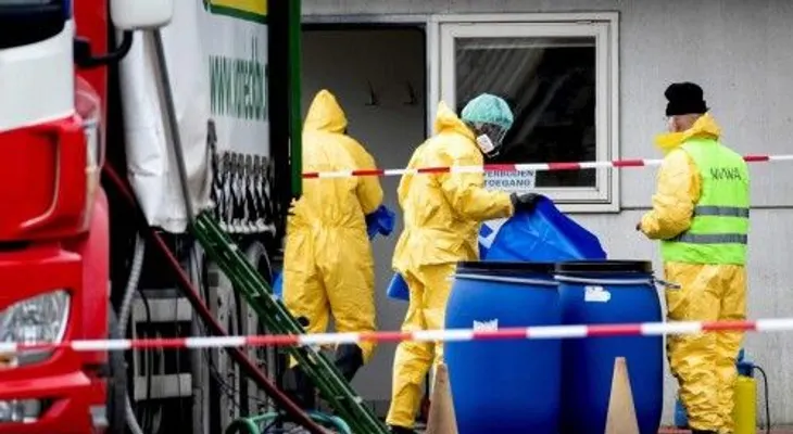 Detectan un brote de gripe aviar en una granja de Francia   