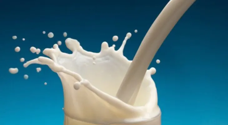 ¿La leche descremada aumenta las ganas de comer?
