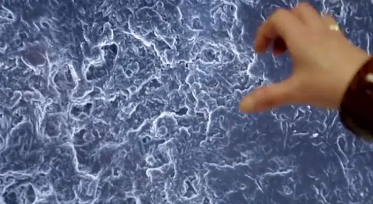 Científicos crean Google Maps del cuerpo humano (Video)