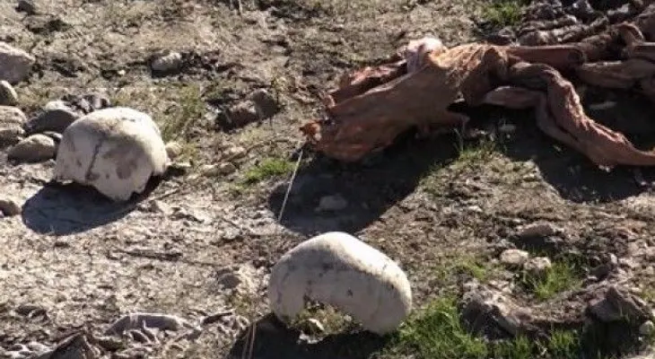 Irak: Hallan 3 fosas comunes más en zona que perteneció a EI