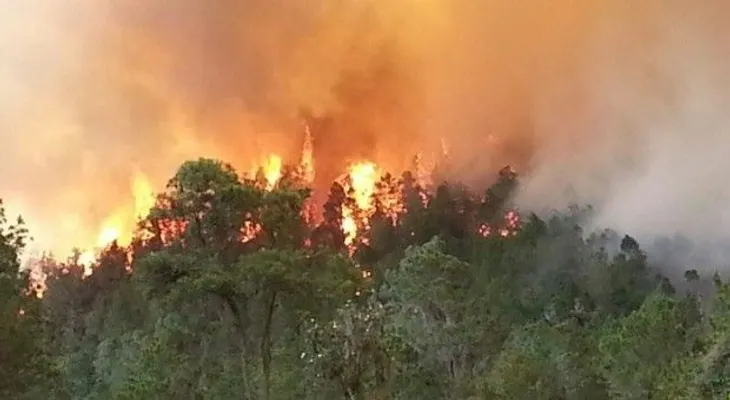 Fuegos forestales se extienden; hospitalizan a niños y ancianos por humareda