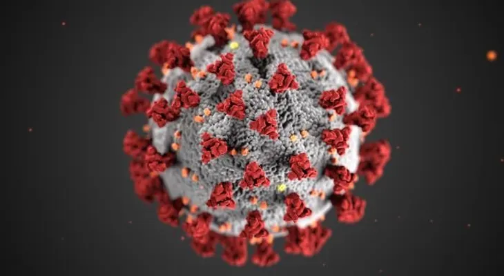 Un nuevo estudio de las mutaciones del coronavirus levanta sospechas. ¿Se está haciendo más contagioso?