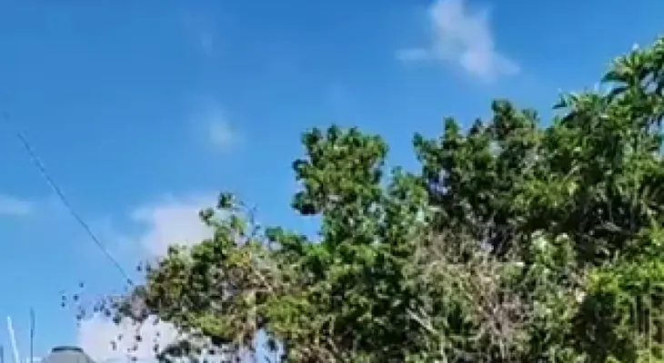 Dicrim allana vivienda del presunto agresor de menor desaparecida en el río Yaque del Norte
