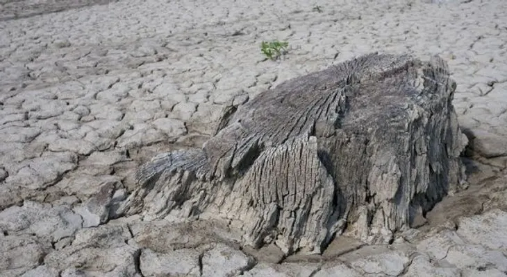 El mundo se sofoca: temperaturas récord podrían llegar a España y Portugal en medio de la ola de calor 