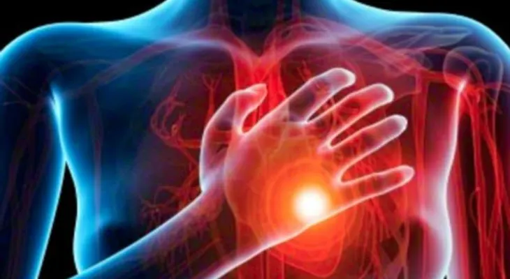 Científicos revelan como el matrimonio afecta al corazón             