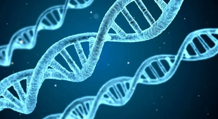 Nuevas técnicas para la edición genética que abren fronteras