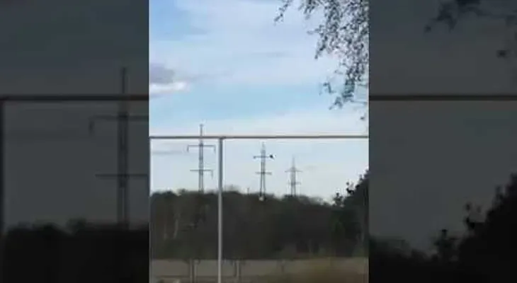 Un adolescente quiso hacerse el "héroe" y murió en una torre de alta tensión 