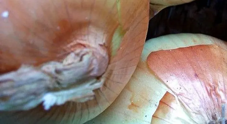 Los mejores remedios caseros para hacer crecer el cabello 