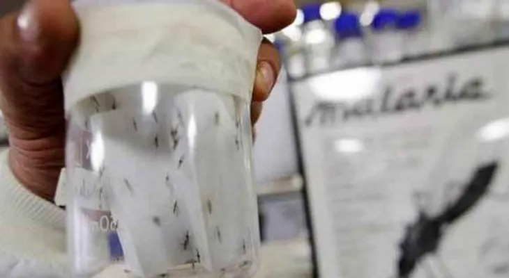 Detectan malaria en tres municipios de Nueva Esparta