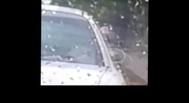 Caminantes en acera del Botánico en riesgo de ser atropellados por motoristas (VIDEO)