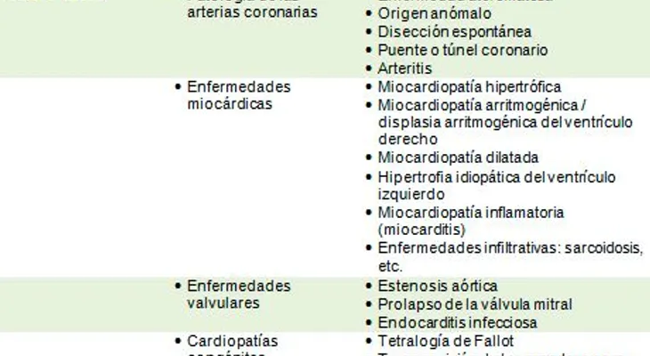 El cerebro, el gruñón y la muerte súbita