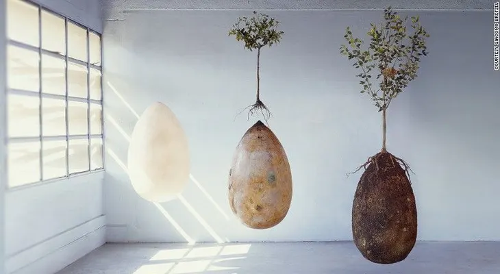 La urna funeraria biodegradable que convierte tu cuerpo en árbol