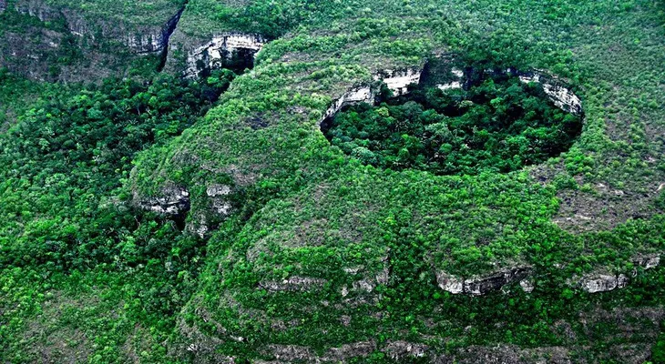 El mayor parque natural de Colombia está libre de cultivos ilícitos