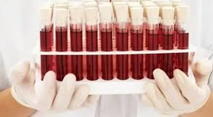 La sangre artificial de agua, sal y proteína sacada de gusanos marinos