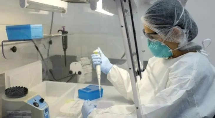 Costa Rica utiliza una bacteria para atacar al mosquito que transmite el zika