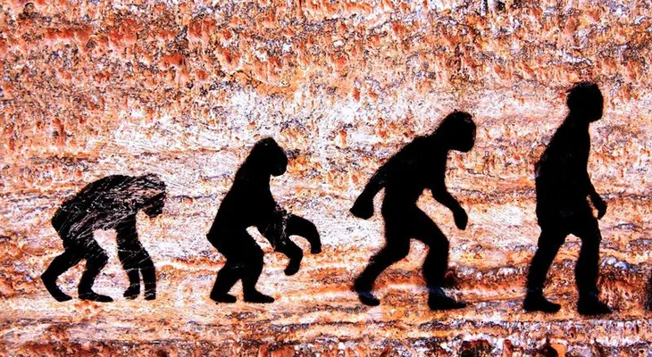 ¿Jaque a la teoría de la evolución? 