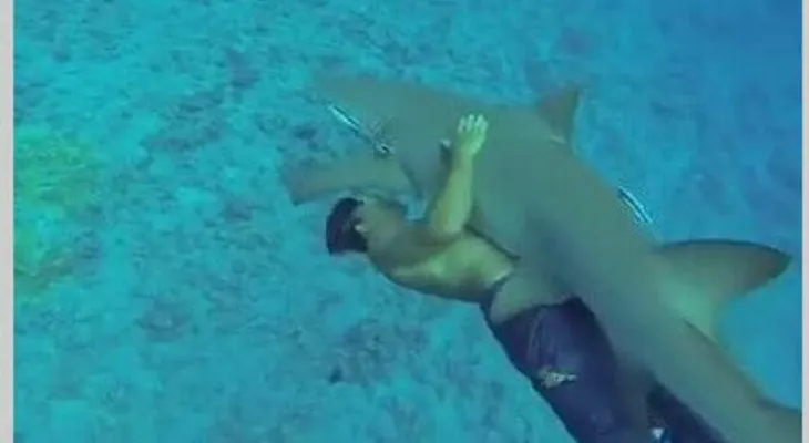 Video: Turista abraza a tiburón y vive para contarlo