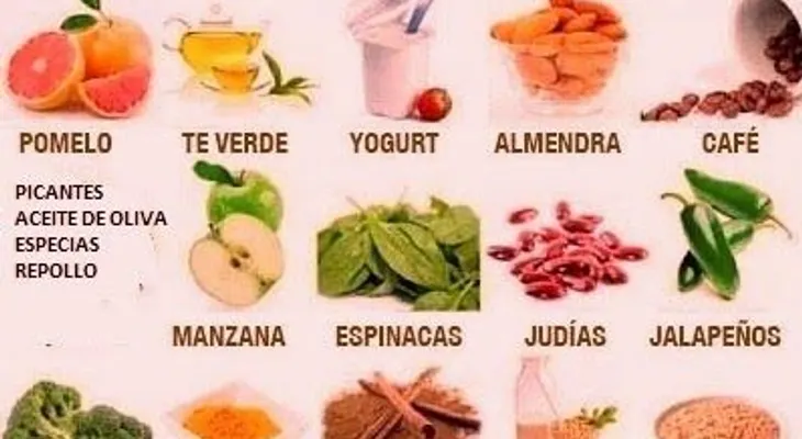 3 pasos para revertir un metabolismo lento