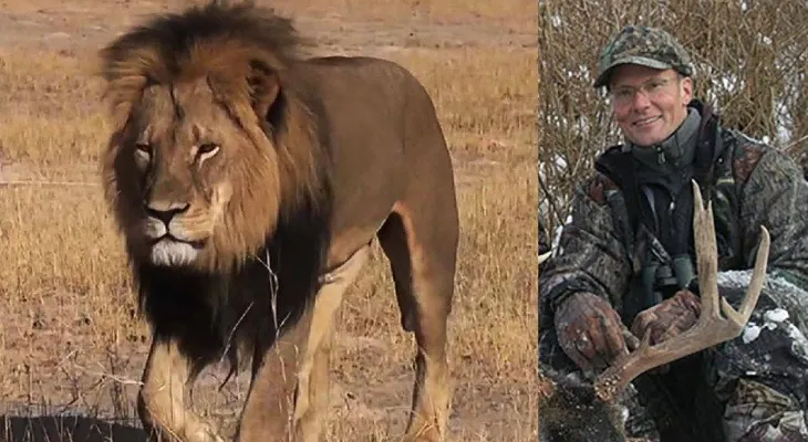 Zimbabwe no presentará cargos contra el cazador del león 'Cecil'