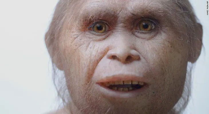 Nuevas evidencias muestran el origen del Hobbit de Indonesia