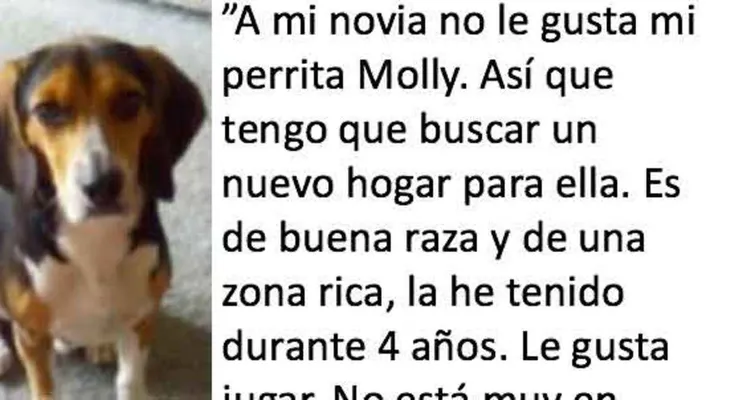 Su novia le da un ultimatum: el perro o yo. ¿Su respuesta? Brillante.