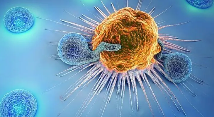 ¿Cómo afecta el estrés a nuestro sistema inmunológico?
