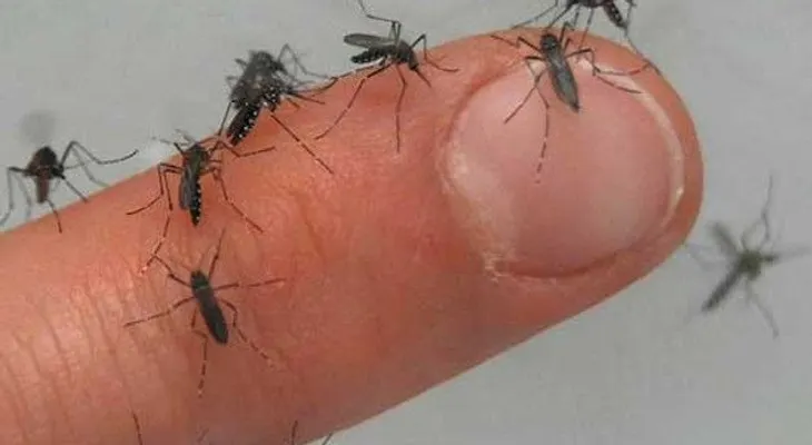 El virus del Zika se dispara en Puerto Rico