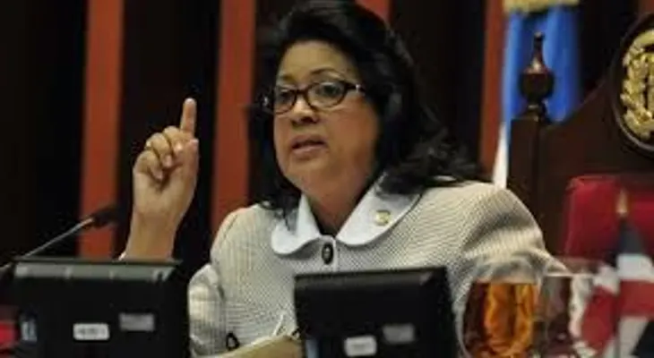 Cristina Lizardo dice que el CN está preparado para conocer la RF