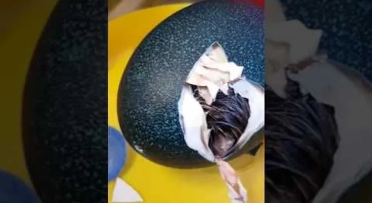 Compra un huevo decorativo por Ebay y se queda boquiabierta al ver lo que hay dentro