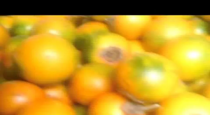  Lulo o naranjilla para el colesterol y buen funcionamiento de los riñones: OTROS BENEFICIOS 