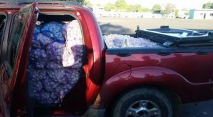Ejercito decomisa más de 5 toneladas de ajo