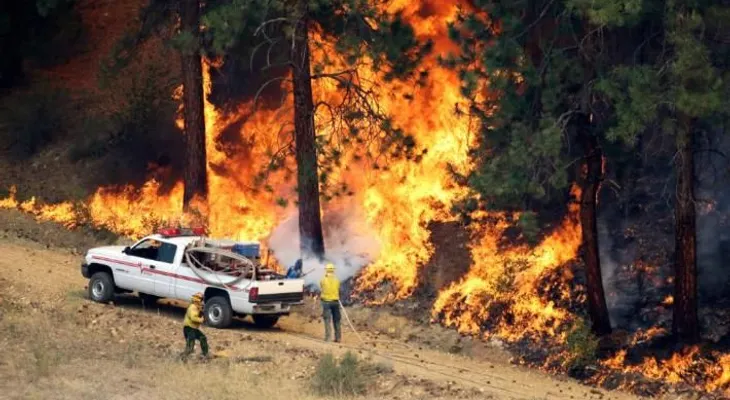 Unas 100 casas arden en incendios en Washington